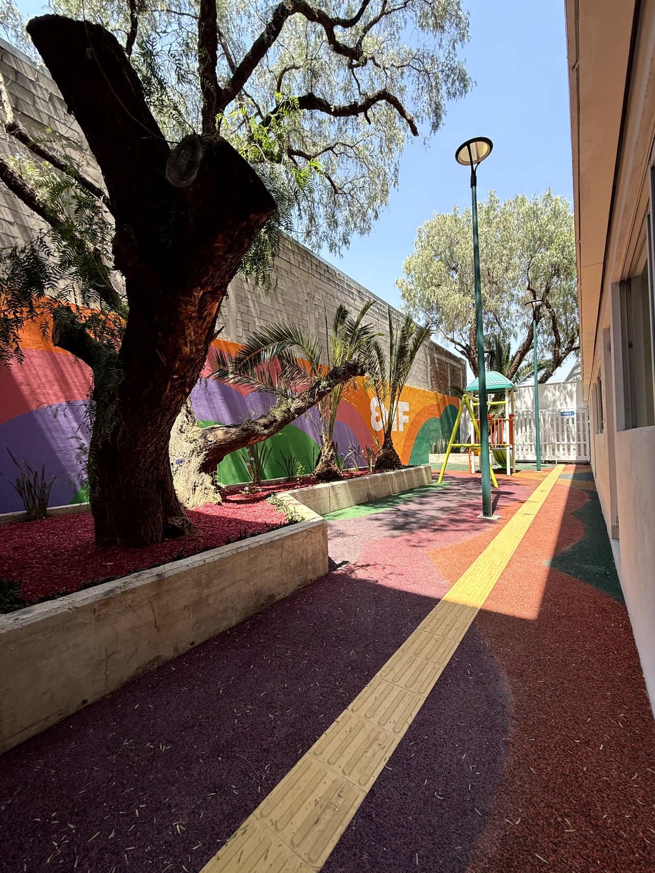 DIF León - Imagen 1