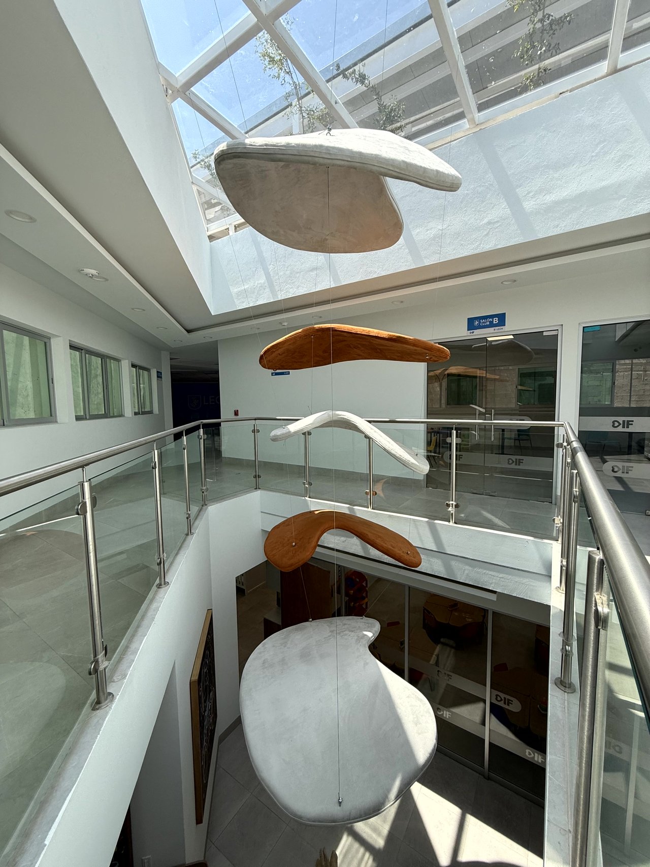 DIF León - Imagen 8