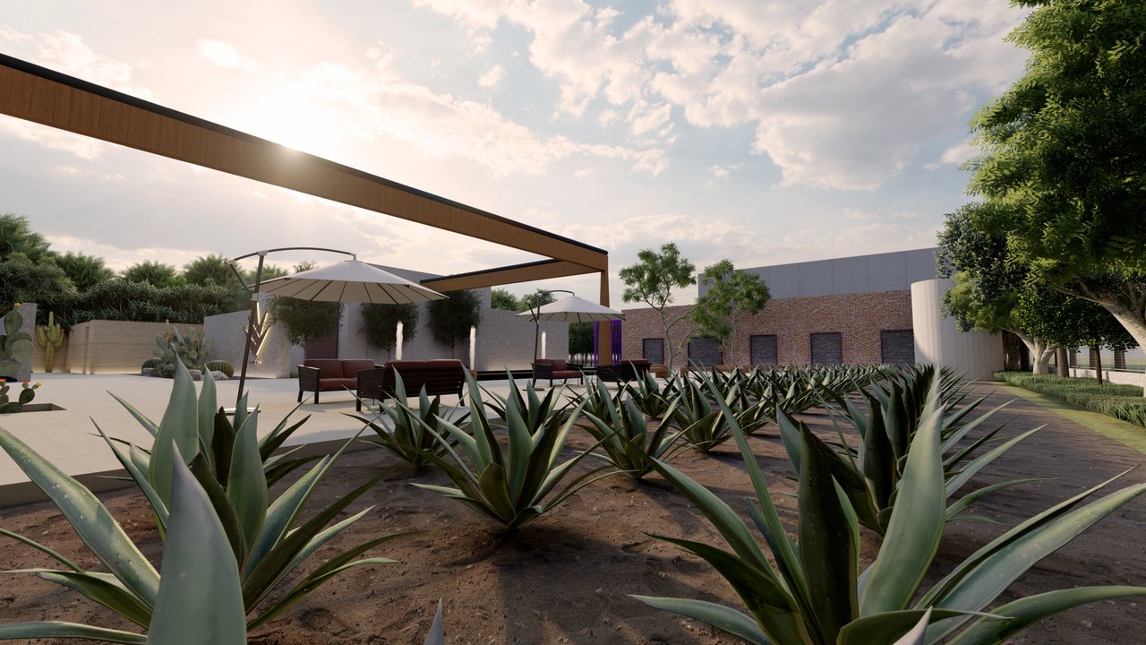 Tequilera Huani - Imagen 7